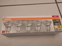 5 Stk Osram GU10 Warmweiß 350lm Birnen München - Trudering-Riem Vorschau