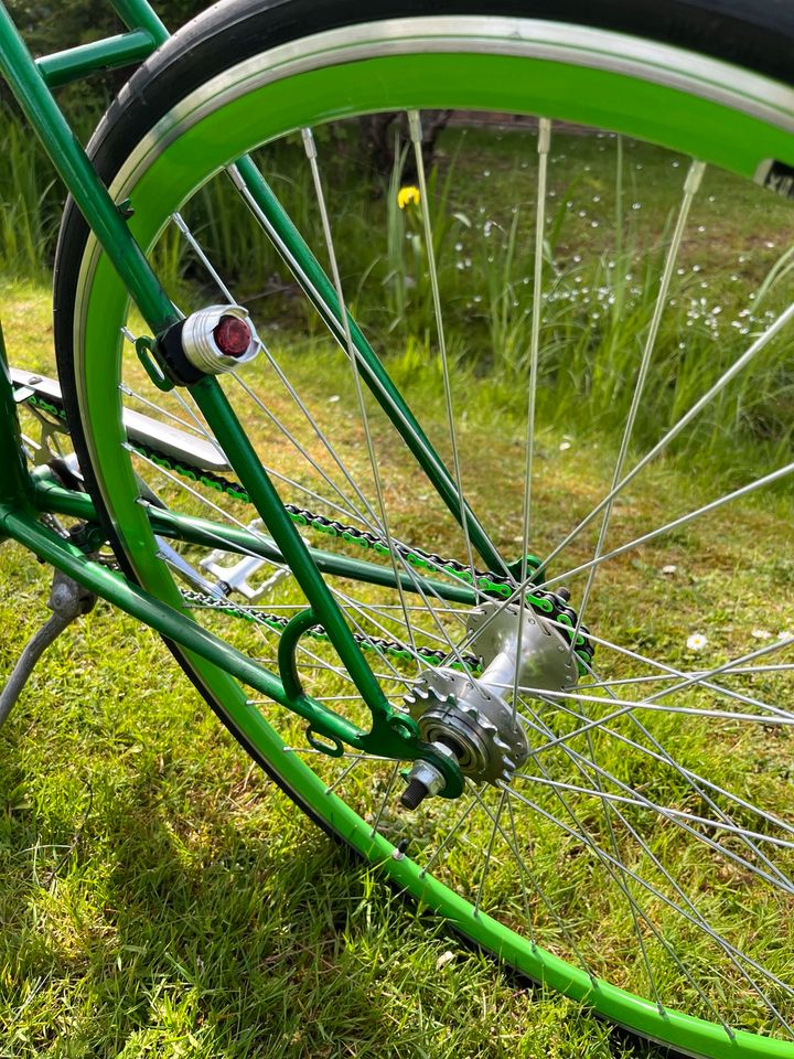 Peugeot Vintage Rennrad / Singlespeed in Euskirchen