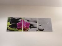 Glasbild 3-teilig 150x50cm Bayern - Burglengenfeld Vorschau