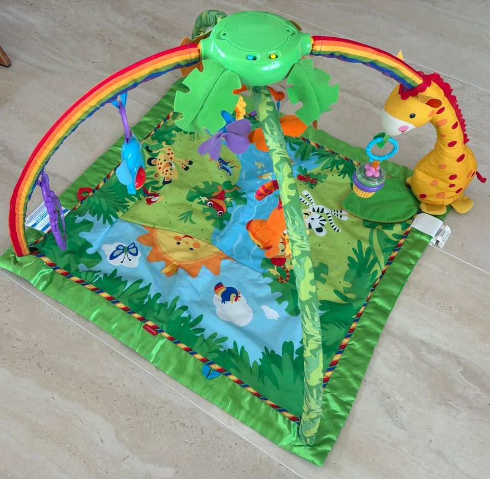 Dschungel Spielbogen Fisher-Price Rainforest in Heidelberg