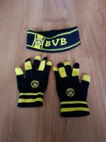 Stirnband und Handschuhe * BVB * Fanartikel Sachsen - Burkhardtsdorf Vorschau