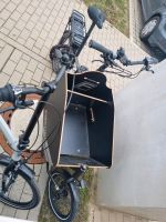 Longjohn cargobike Lastenrad E-bike Fischer leo 1.0 Sachsen - Schkeuditz Vorschau