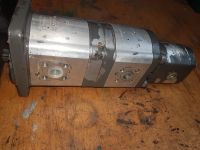 Bosch Hydraulikpumpe 0510666303 Rheinland-Pfalz - Weinolsheim Vorschau