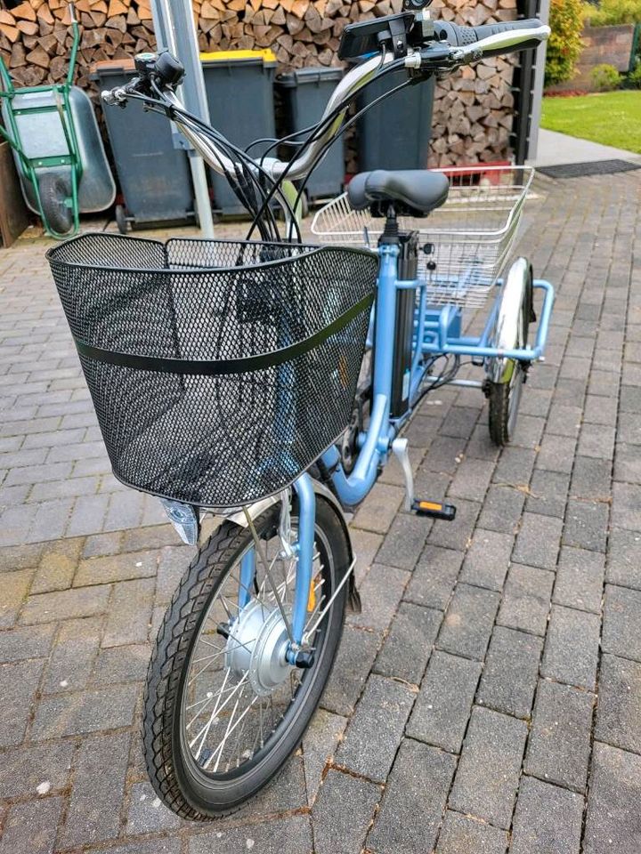 Eureka E-Bike Dreirad mit Kippbaren Rahmen in Korschenbroich