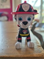 Marshall -Paw Patrol Ultimate Rescue Fahrzeug inkl. Figur Niedersachsen - Delmenhorst Vorschau