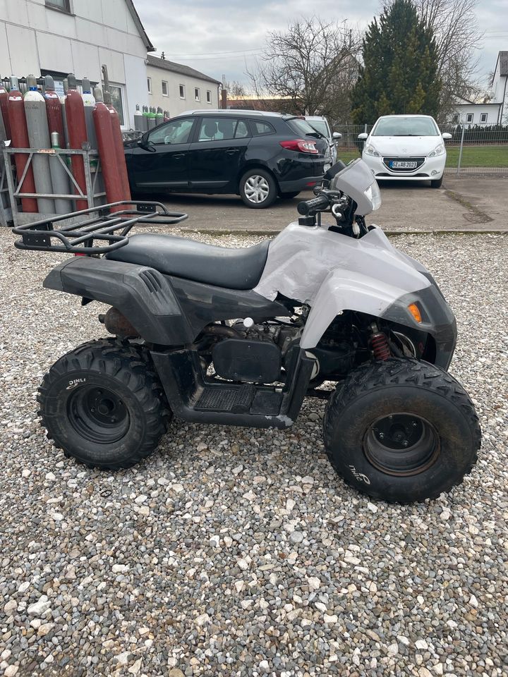 Dinli Quad 50ccm mit Straßenzulassung in Burgau