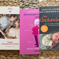 Schwangerschaft / Wochenbett Bücher Nordrhein-Westfalen - Burbach Vorschau