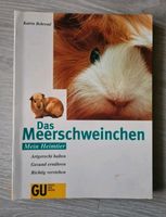 Das Meerschweinchen Buch Bayern - Fürth Vorschau