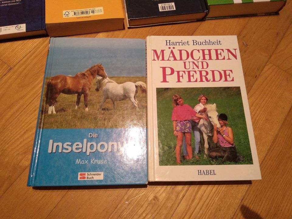 10 Pferde Bücher Lou + Lakritz Ponyclub Seestern Ostwind Tatort in Nürnberg (Mittelfr)