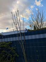 Apfelbaum mit richtig grünen Apfeln Nordrhein-Westfalen - Remscheid Vorschau