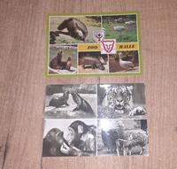 Zoo Halle DDR Postkarten Ansichtskarten ungelaufen Thüringen - St Gangloff Vorschau