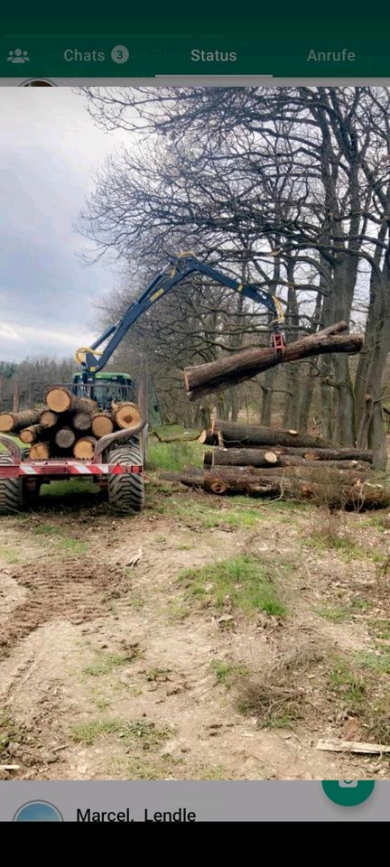 Stammholz/Brennholz Transport in Idstein