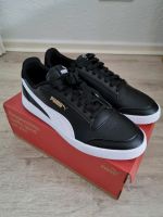 Puma Herren Sneaker Größe 44 - Neu Hannover - Vahrenwald-List Vorschau