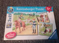 Ravensburger Puzzle Wieso?Weshalb?Warum? Pferde 3 x 49 Teile Neu Niedersachsen - Barsinghausen Vorschau