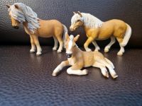 Schleich Pferde Set Rheinland-Pfalz - Kirchheim an der Weinstraße Vorschau