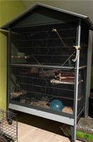Voliere / Käfig / Nagervoliere mit Kleintieren und Zubehör Saarland - Völklingen Vorschau