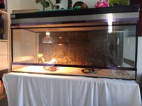 Beheizbares Terrarium 120x62x50 cm aus Floatglas mit Beleuchtung Nordrhein-Westfalen - Dorsten Vorschau