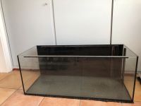 Aquarium 160 Liter Niedersachsen - Buxtehude Vorschau