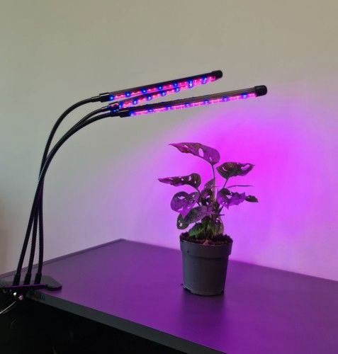 LED Pflanzenlampe 3-Kopf Vollspektrum Wachstumslampe Anzucht in Marburg