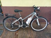 E-Bike HaiBike Rheinland-Pfalz - Remagen Vorschau