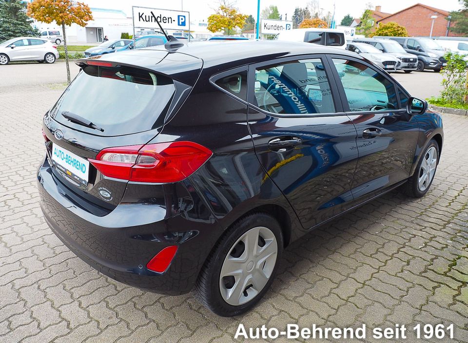 Ford Fiesta Cool & Connect  Navi Ganzjahresreifen in Waren (Müritz)