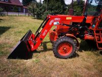 Frontlader 900kg MTZ BELARUS MTS Euroaufnahme Zetor Thüringen - Heilbad Heiligenstadt Vorschau