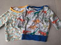 2 Handmade Pullis Shirt Dino ICE Age Dawanda Etsy Größe 56 Leipzig - Gohlis-Mitte Vorschau