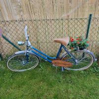 Deko Fahrrad Garten Blumen vintage Hochzeit Bayern - Deggendorf Vorschau