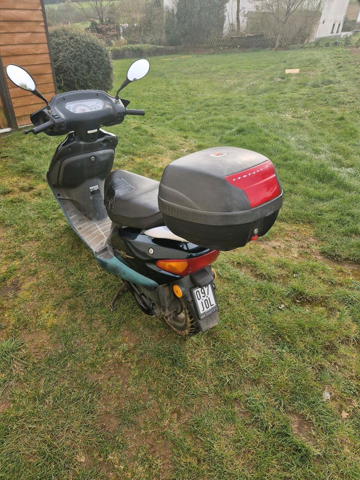 Honda Bali 50ccm Roller mit Papiere Topcase in Neustadt (Wied)