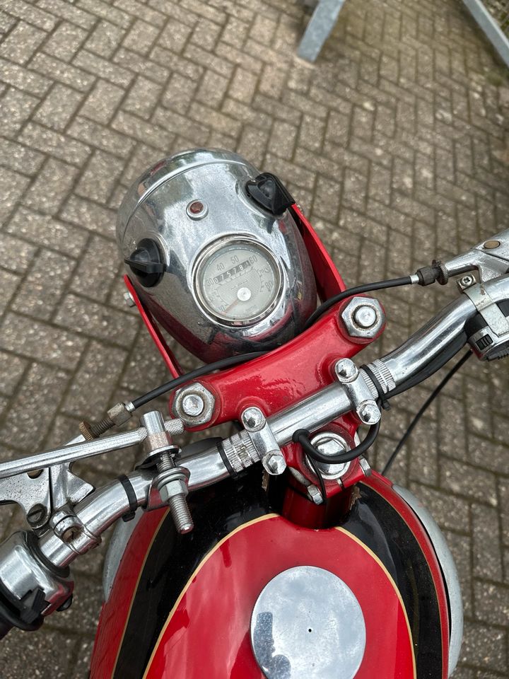 Triumph Tiger Cup 1968 in Ratingen