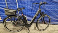 Winora Sinus Ena 8 E Bike 500 WH Bosch Antrieb 28 Zoll RH 50 Cm Berlin - Reinickendorf Vorschau