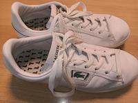 Lacoste Turnschuhe Kr. Altötting - Burghausen Vorschau