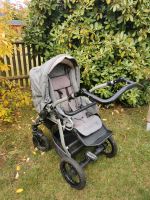 Kinderwagen Feder F05 Sachsen - Limbach-Oberfrohna Vorschau