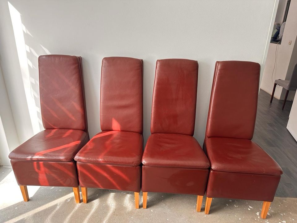 Vier Stühle, echt Leder in Essen