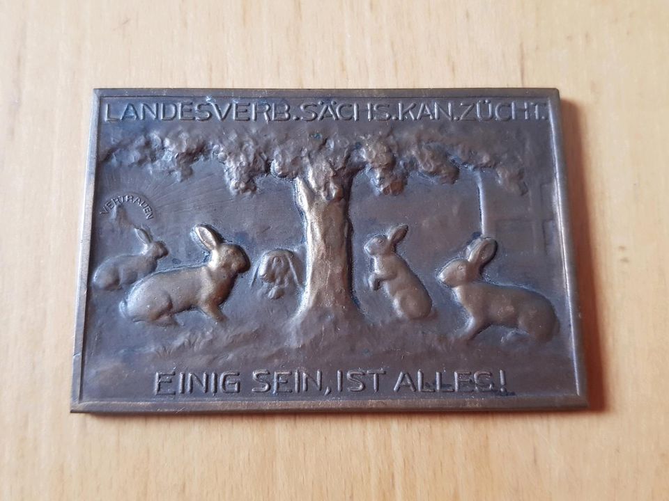 BRONZE ♥️ Kaninchen Züchter Sachsen in Klipphausen