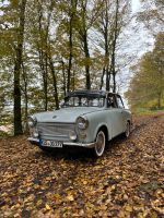 Trabant und Ersatzteile Ankauf Rheinland-Pfalz - Blaubach Vorschau