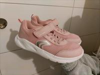 Geox Hallenschuhe Sportschuhe Sneaker Größe 37 Dresden - Leubnitz-Neuostra Vorschau