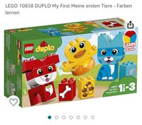 Lego Duplo: Meine ersten Tiere 10858 Farben lernen NP 30€ Nordrhein-Westfalen - Wipperfürth Vorschau