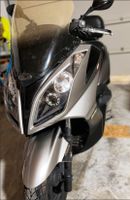 Kymco Downtown 125 ABS Roller Moped Motorrad Bayern - Hunderdorf Vorschau