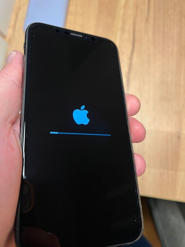 Apple iPhone XS 256GB Space grau in Hamburg