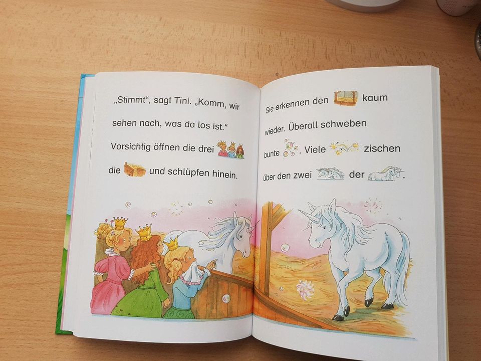 Die schönsten Prinzessinnengeschichten zum Lesenlernen  Leselöwen in Ostbevern