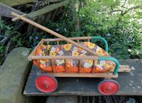 SCHÖNER 70er JAHRE VINTAGE KINDER BOLLERWAGEN HOLZ wie PRILBLUMEN Thüringen - Georgenthal Vorschau