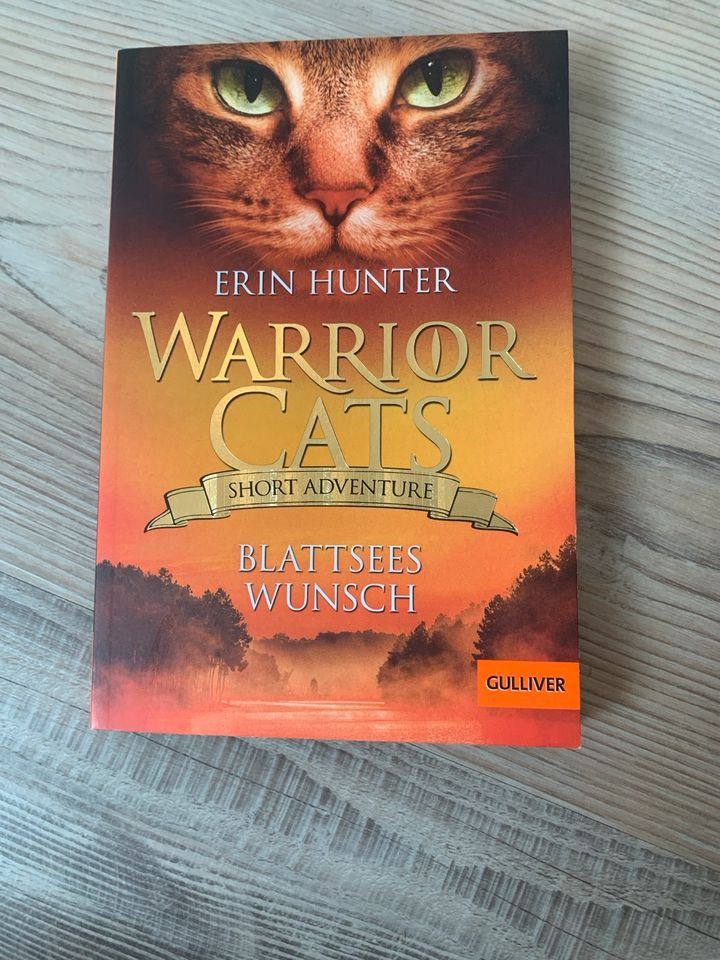 Warrior Cats, short Adventure, Blattsees Wunsch in Viersen