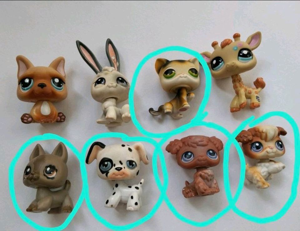 LPS "Littlest Pet Shop" Karneval MASKE Kostüm o Haus o Figuren in Holzwickede