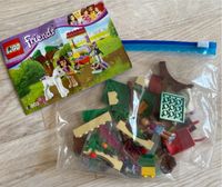 LEGO Friends 4003 Fohlenpflege Nordrhein-Westfalen - Westerkappeln Vorschau