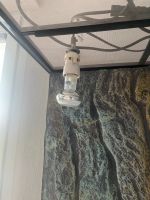 Terrarium mit installierter Lampe Rheinland-Pfalz - Gau-Algesheim Vorschau