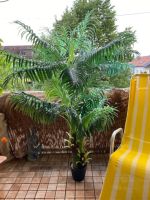 Künstliche Palme Hawaii Einfach schön!180 H X 150 B Ohne Übertopf Bayern - Aschaffenburg Vorschau