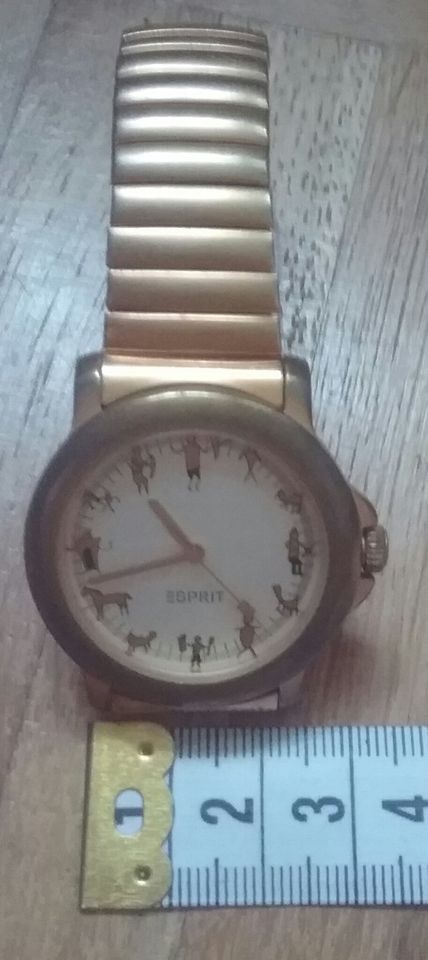 Esprit Armbanduhr Damenuhr Herrenuhr Uhr Armband Schmuck in Ludwigshafen