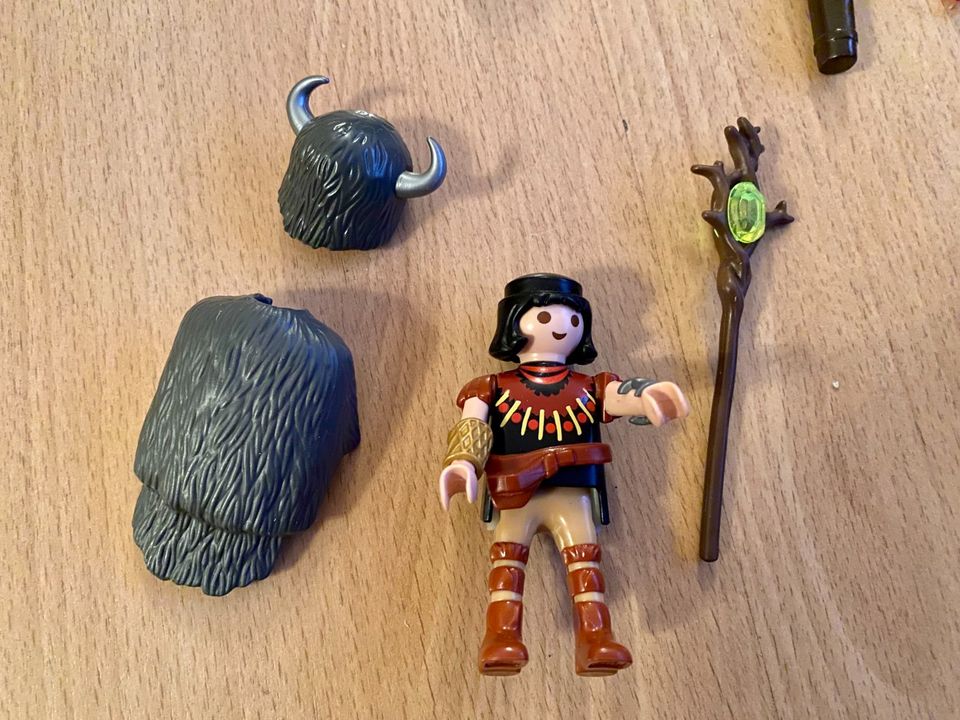 Playmobil 2 Wikinger: Magier mit Edelsteinstab und Kämpfer in Pfaffenhofen a.d. Ilm