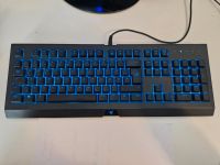 Razer Cynosa Chroma Tastatur Nordfriesland - Risum-Lindholm Vorschau